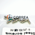 Винты для задних крышек часов 1,6х5,0(10 штук) белый FVZK-024 - 2