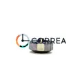 Заводная головка Omega белая GSOM-007 - 2