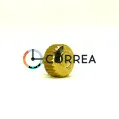 Заводная головка Omega золото GSOM-008-25g - 1
