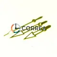 Стрелки для механизмов Miyota 2035 золото FOB-048 - 1