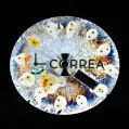 Циферблат для часов Orient Automatic белый CO-038 - 2