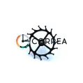 Анкерное колесо 2500-55941 для механизма Orient 55941 - 1