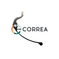Заводной рычаг 4040-46940 для механизма Orient 46941 - 3