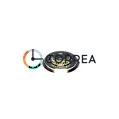Подшипник для механизма Chinese Automatic 8205 FZK-004 - 1