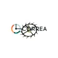 Анкерное колесо 2500-46941 для механизма Orient 46941 - 1