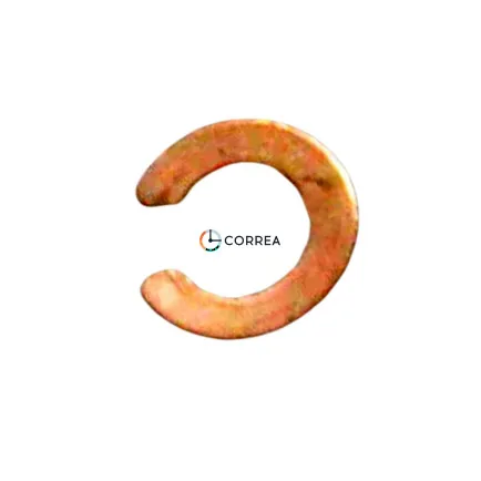 Фиксатор диска дня недели 0963 000 для механизма Epson YN56 - 3