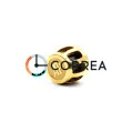Заводна головка Audemars Piguet золото GSAP-006-25 - 1