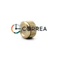 Заводная головка Fossil золото GSFS-001 - 1