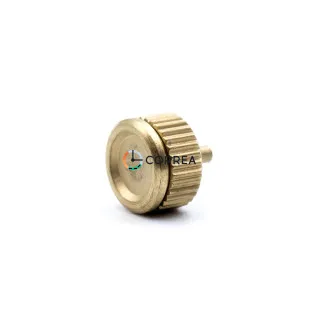 Заводная головка Fossil золото GSFS-001