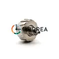 Заводная головка Gc белая GSGC-003-30 - 2