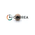 Заводна головка Longines червоне золото GSL-015-20 - 3