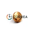 Заводная головка Officine Panerai красное золото GSP-004-60r - 1