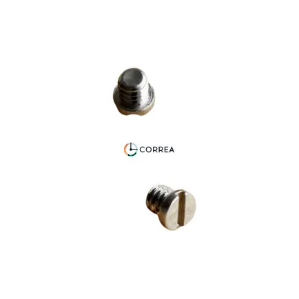 Штифт с винтами для браслета Omega Seamaster 300m 31130423001006 - 5