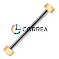 Штифт с винтами для ремешка золото FSPM-120 - 3