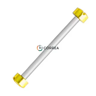 Штифт с винтами для ремешка золото FSPM-121