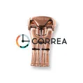 Застежка бабочка для ремней Omega красное золото ZO-003 - 2