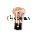 Застежка бабочка для ремней Omega красное золото ZO-003 - 1