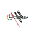 Стрелки для механизма Poljot Ракета черные FOB-089 - 1