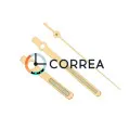 Стрілки для механізмів Orient College золоті FOB-109 - 1